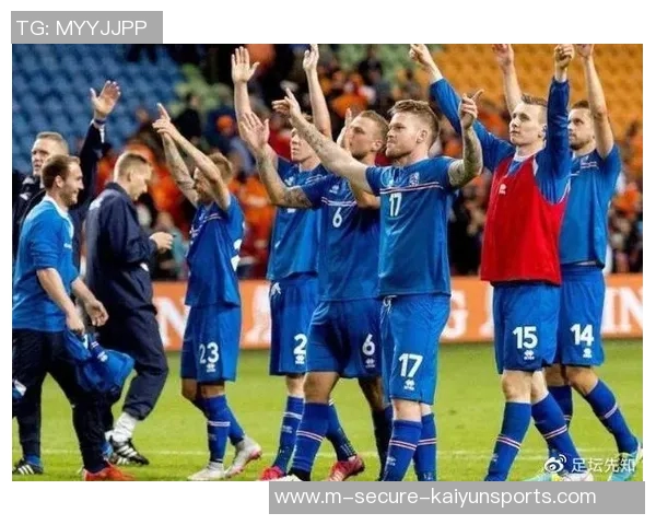 匈牙利与冰岛争夺欧洲杯预选赛关键胜利的激烈对决